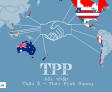 Hiệp định thương mại TPP không có Mỹ vẫn rất hấp dẫn