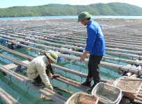 Minh Hiếu - Công ty cung cấp Hóa chất ngành thủy sản uy tín, giá rẻ